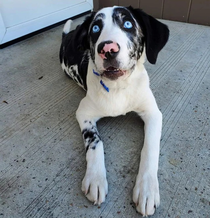 5d77345926997c455a0fc72e66