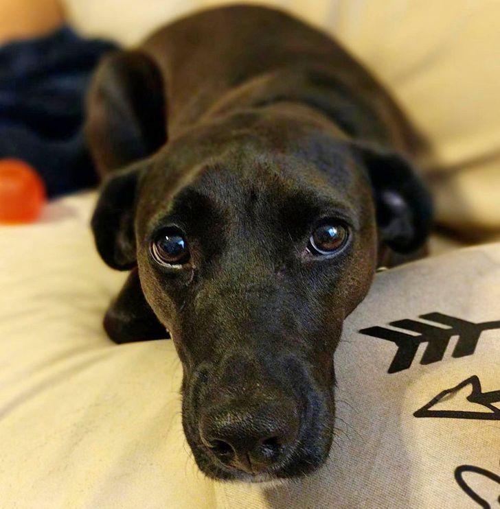 5d7bbf5c04ac3080027457ce8f