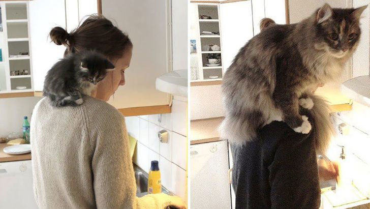 5d7f09580fb00b598aea6a529d