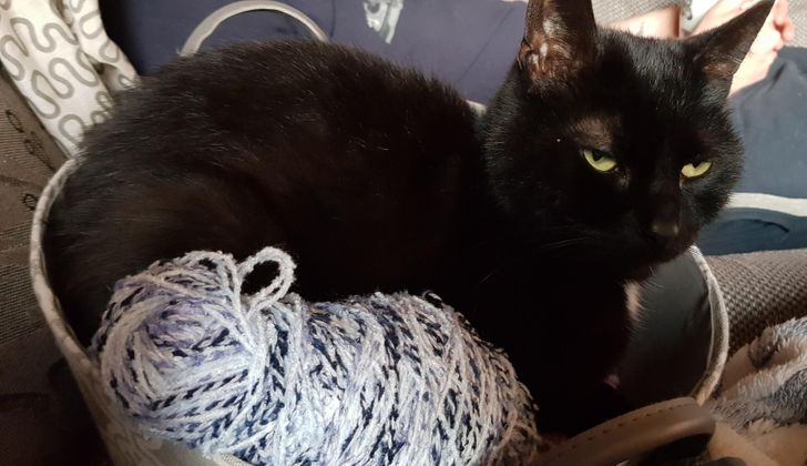 5d80d2587a81d59b5f235a4aec