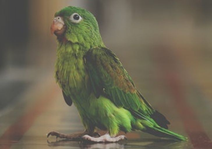 5d81825ac283a84b8d0c56f478