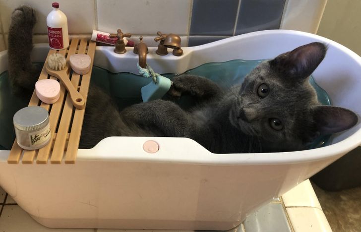 5d820a5b3fad208da1888cddbc