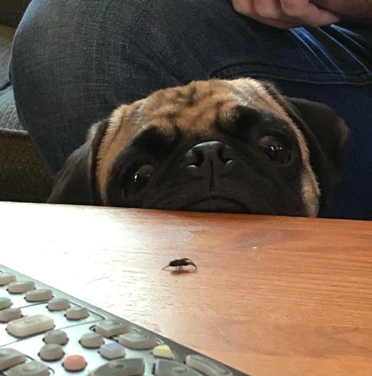 5d848b50c197c360da5c951f76