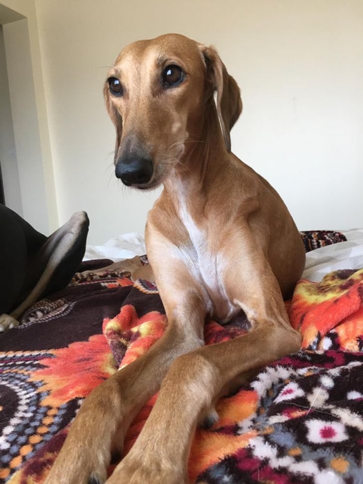 5d853d5cc8995a2a0787a68dc9