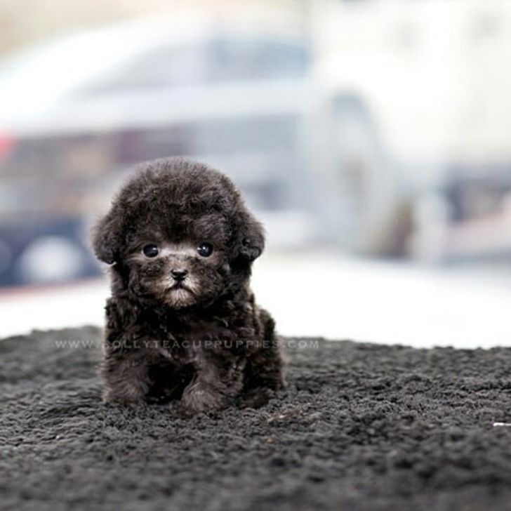 5d85bb5a78813e8db099999e94