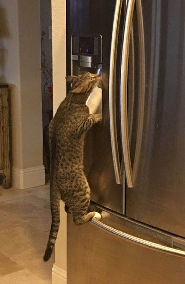 5d87c5582b8f96aa4aa62e7341