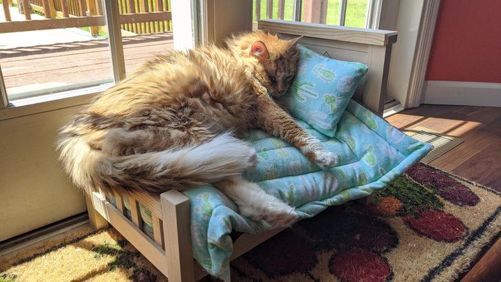 5d88a85b949e40f70a8c5fac38