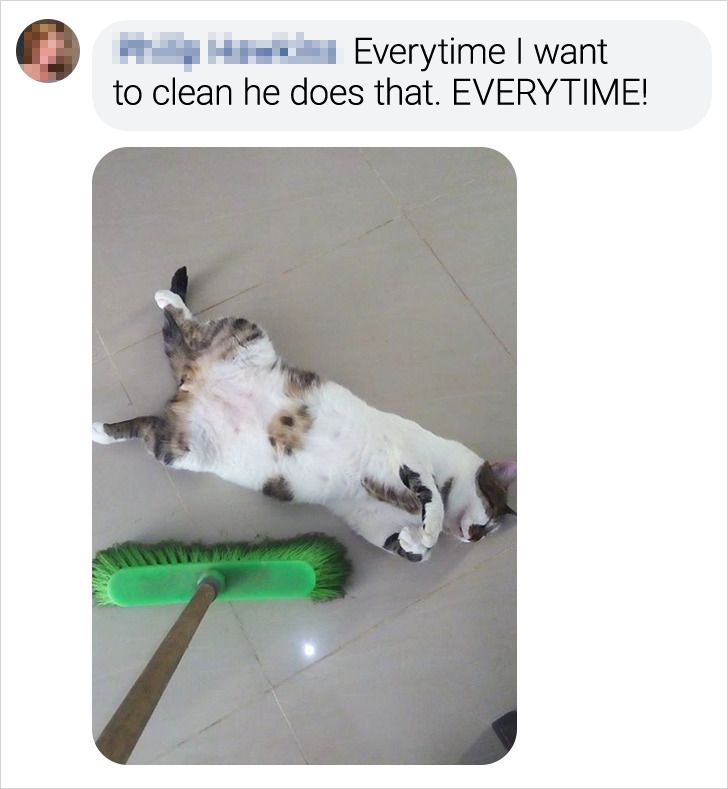 5d8b32579496c156c796dbf02d