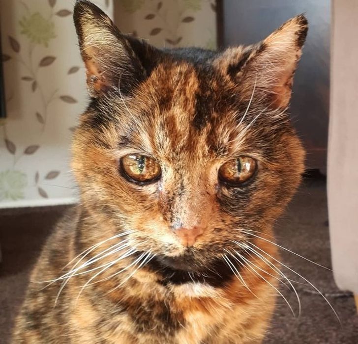 5d91325c91a7038b475ac79d5c