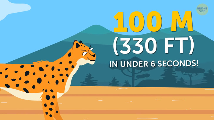 5d91e755219a71f9add80f34b7 5d91e755219a71f9add80f34b7