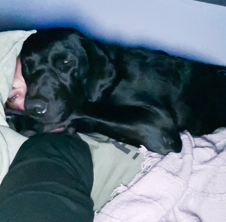 5d94da51208376f2f387dcd21e 5d94da51208376f2f387dcd21e