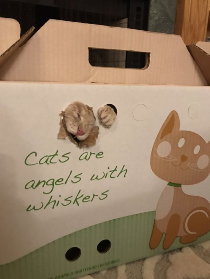 5d94f85061ad39b33a69855eec