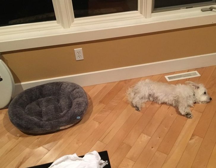 5d96925f509ba4edda21a01c8c