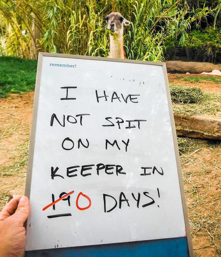 5d991a5a119fe52a7de3c59333