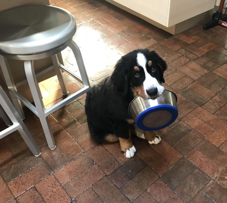 5d9e3b5689ace028b63e6aad1d