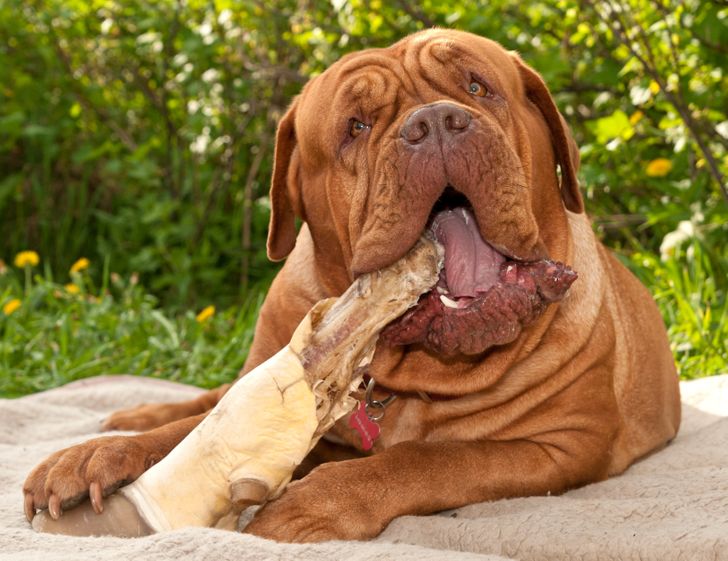 5d9f635dc08b6a22f64afa9d19