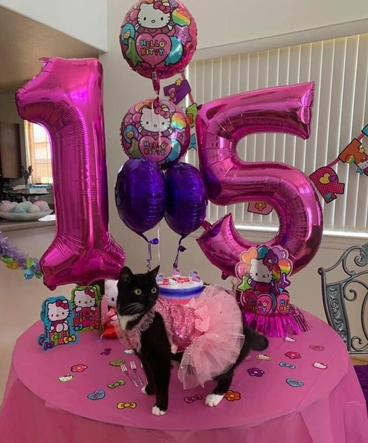 5da21e5920aaa61c96d3362188