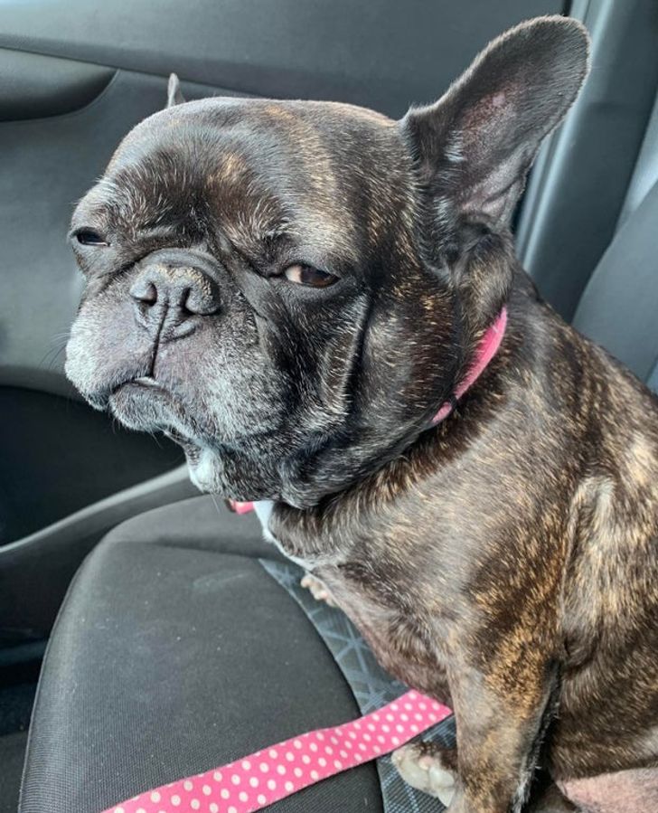 5dae37524bb0a406f1bff52c73