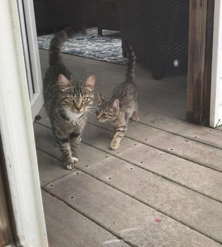 5db72a5711bbb43fd23011a25f