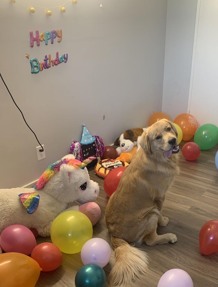 5db8d1554a9cb03ba5830afb1a