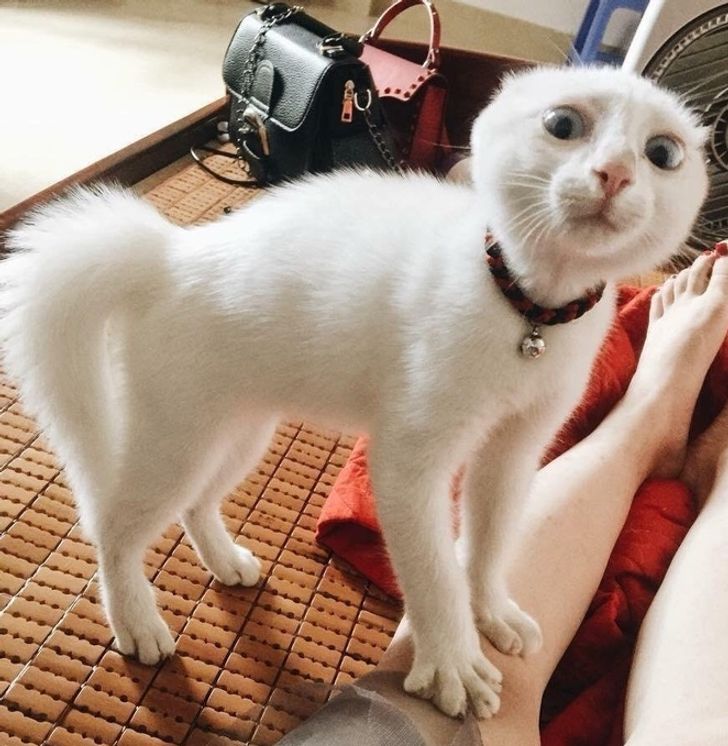 5dc3ec5224bb6f325d9d90805b