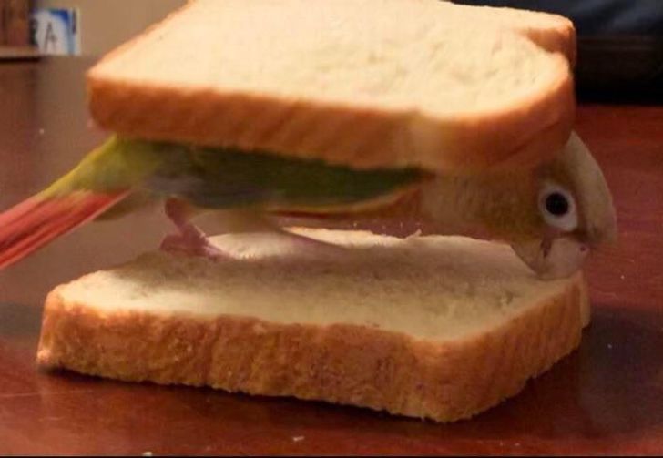 5dc9f85d51bca626b741d0f57d