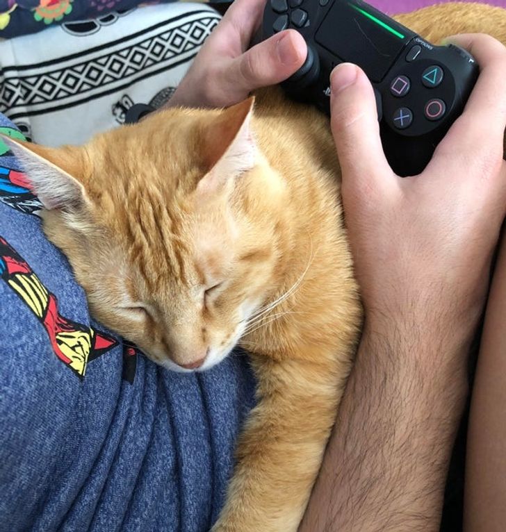 5dddf25deebcb3d530297bff8d