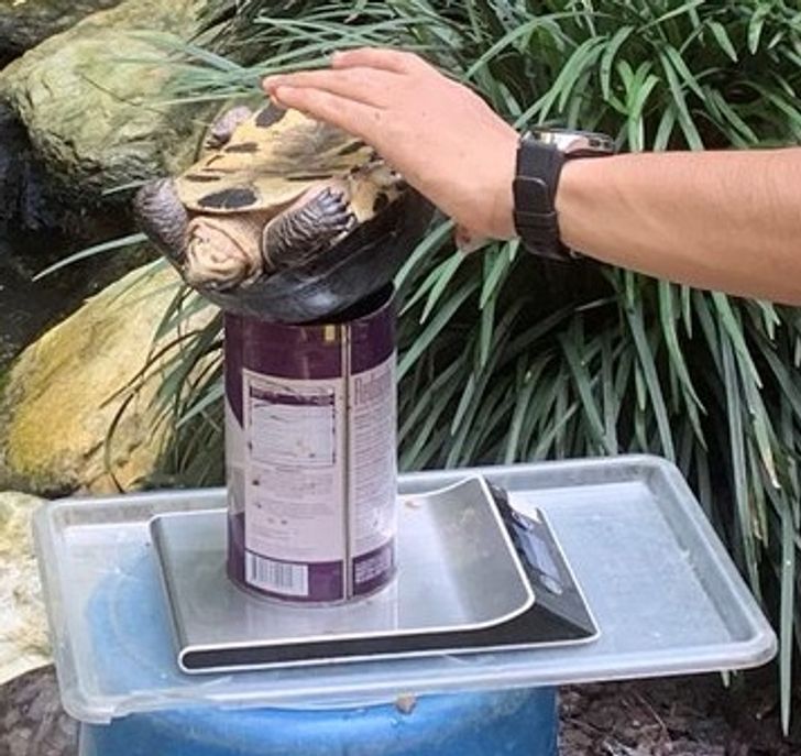 5de6505e6d840924fd9ef874b4