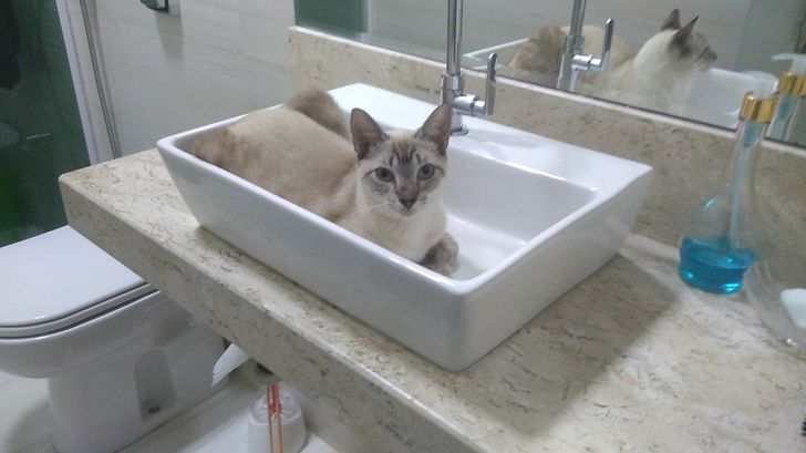 5de9535de38a7f117f2473c82b