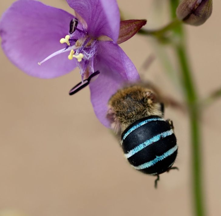 5dea335e779a5b527ee53bc0c7