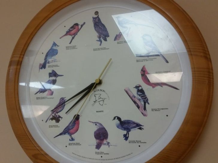 5debbf5d72bccc010b6fb69511