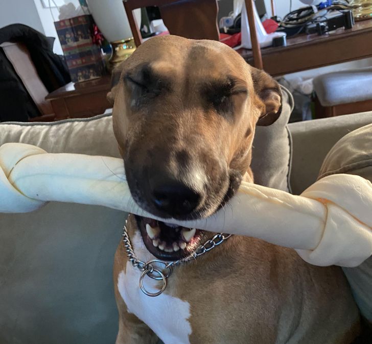 5df0e25f7eb49e6095b320c060