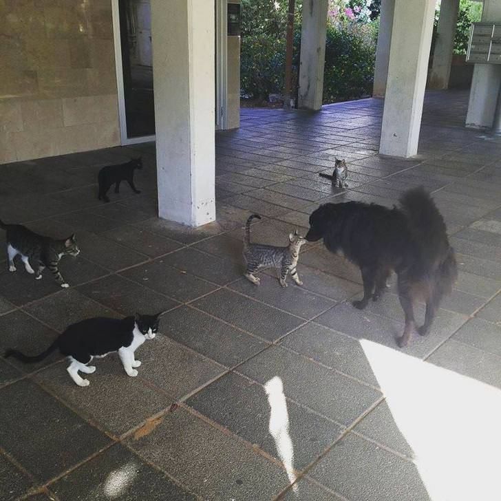 5df4f05a56a85f65a946eb221d