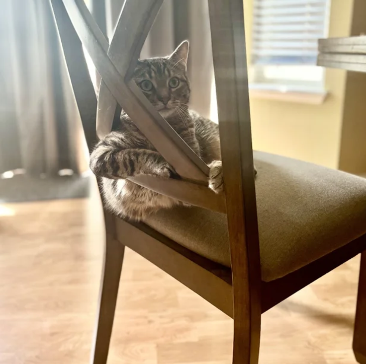 5df7eb5a7ba209e8ec3efc7d70