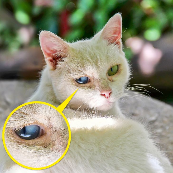 5e017d5de09fd6c18eea26bda8