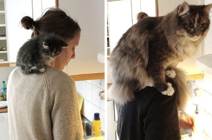 5e06875c6d92199bf6b4180bed