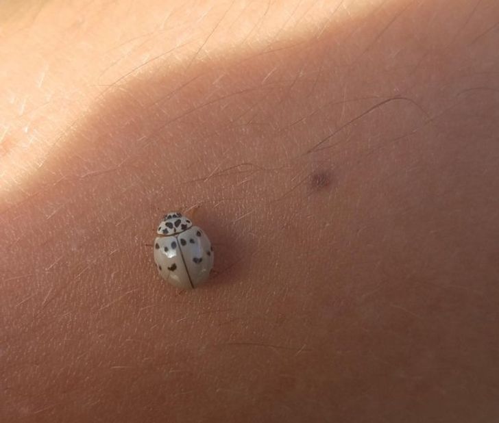 5e11795d9d933ffc54ec074038