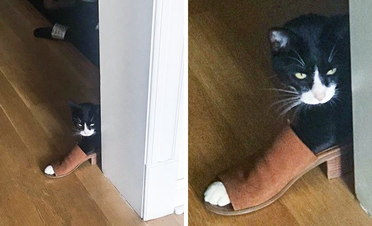 5e13475862a0e6927830f28468