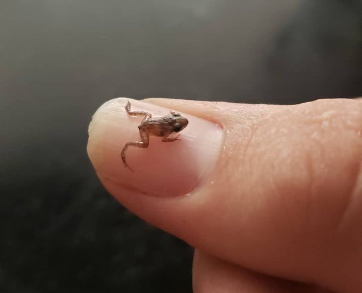 5e138f552a9997756369f3dc11