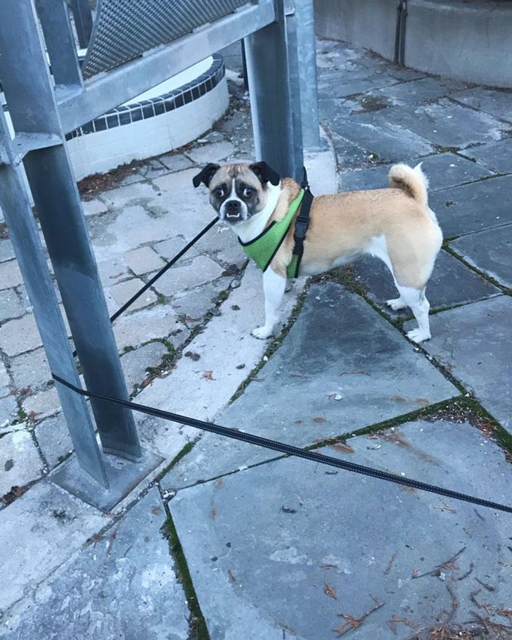 5e14d257ff9d7a87312b7ba341-1