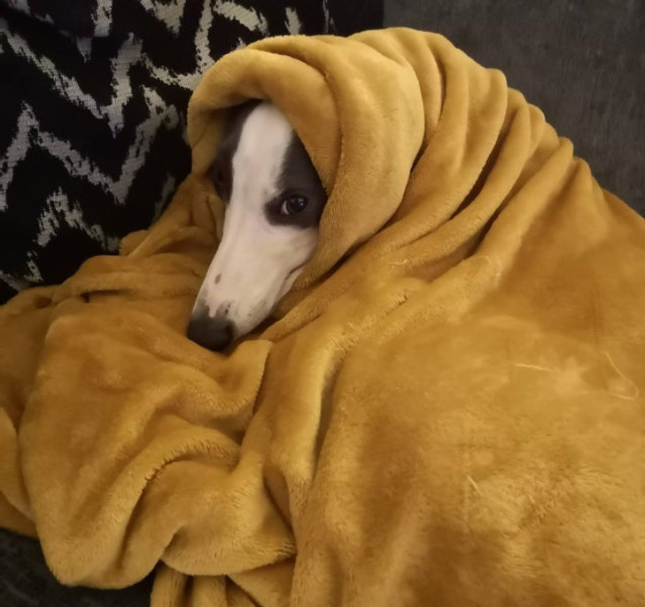 5e1cc652ea8bd56b21cc031a69