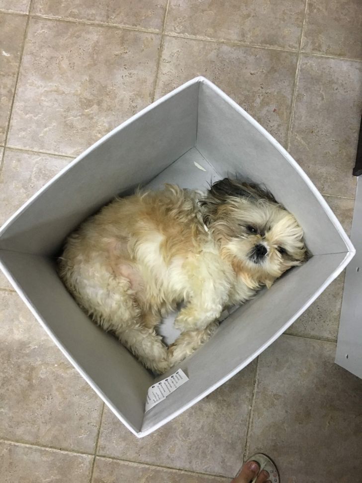 5e1e6354b88996d6d211d27c5f