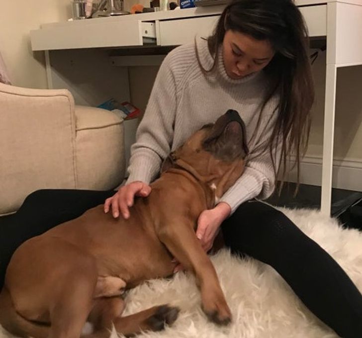 5e2e52543aa3be2dde092fc8b5