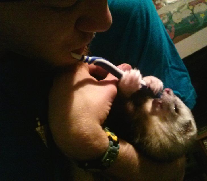 5e37aa50798dc340d4c431146e