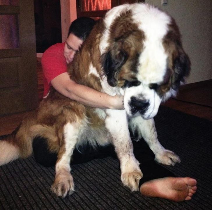 5e42255c329a5b3d2f5bf27369