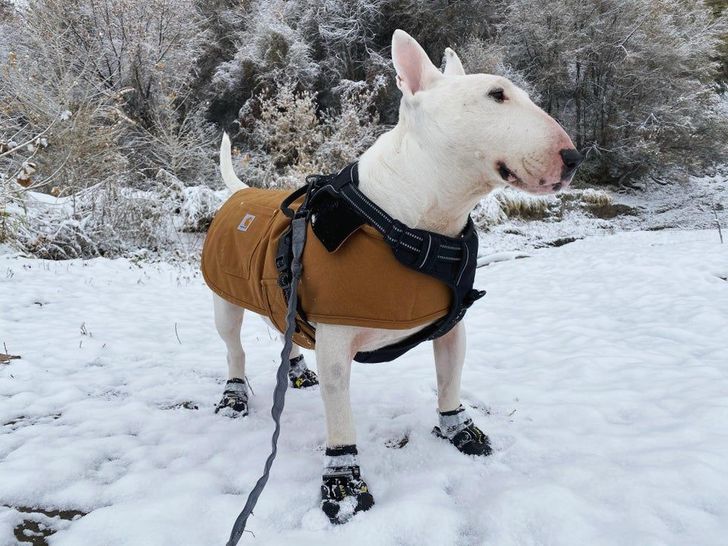 5e4532559189af4a243acb585d