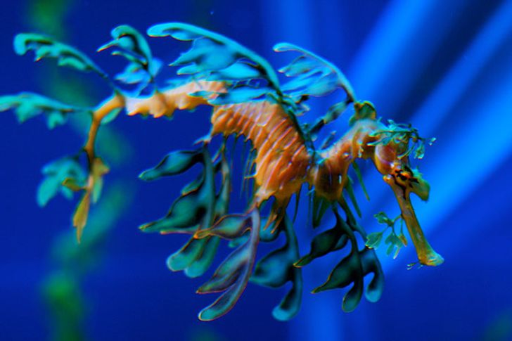 5e47815122886fcffd02e080c0