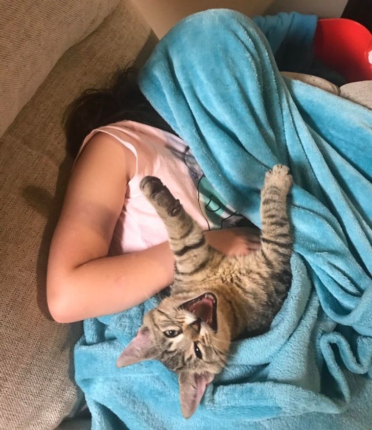 5e4c0c5bf7b8257ed8f2c3e99e