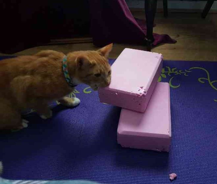 5e4e785c25a5747f2bcdc7c760