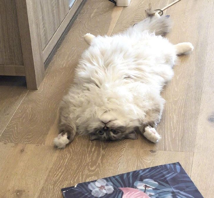 5e50d65258a34183ff5c1cc54c 5e50d65258a34183ff5c1cc54c